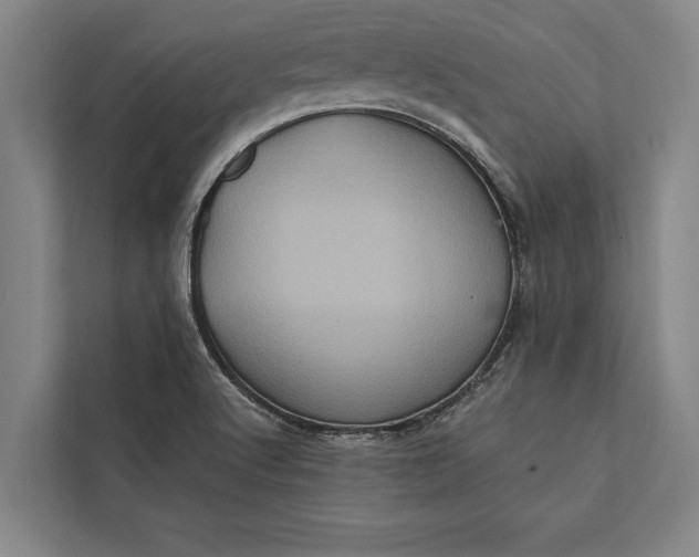 X0000112381512200908271308