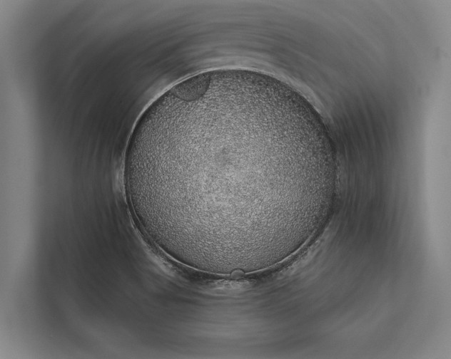 X0000112381513200908271308