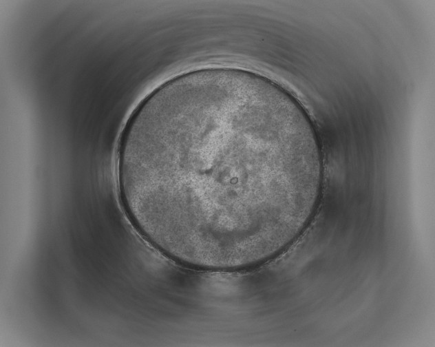 X0000112381514200908271308