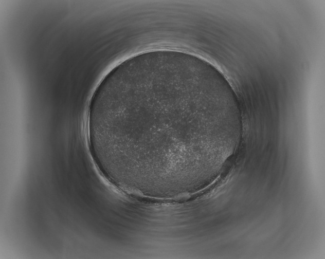 X0000112381515200908271308