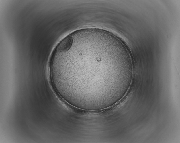 X0000112381517200908271308