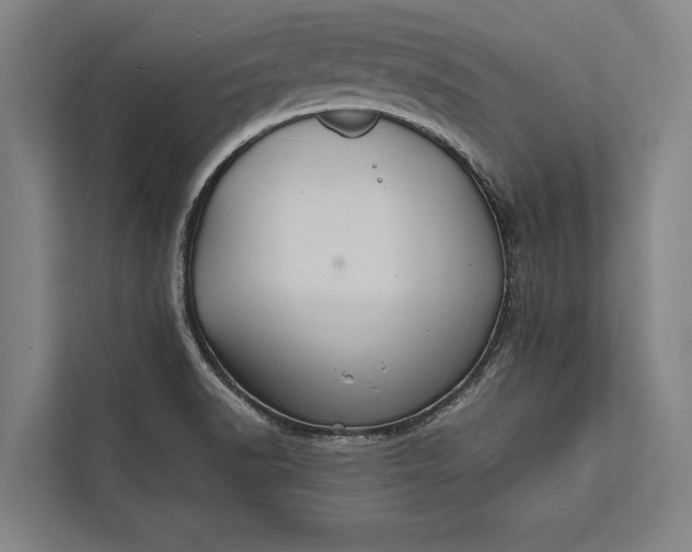 X0000112381518200908271308