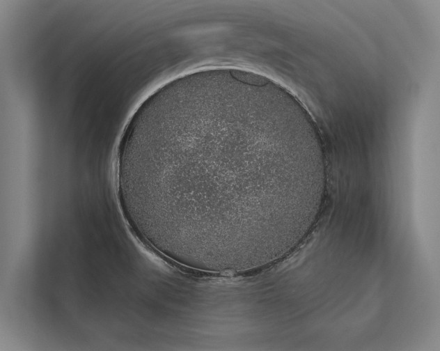 X0000112381519200908271308