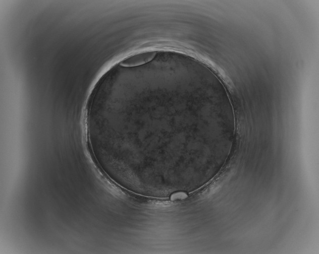 X0000112381522200908271308