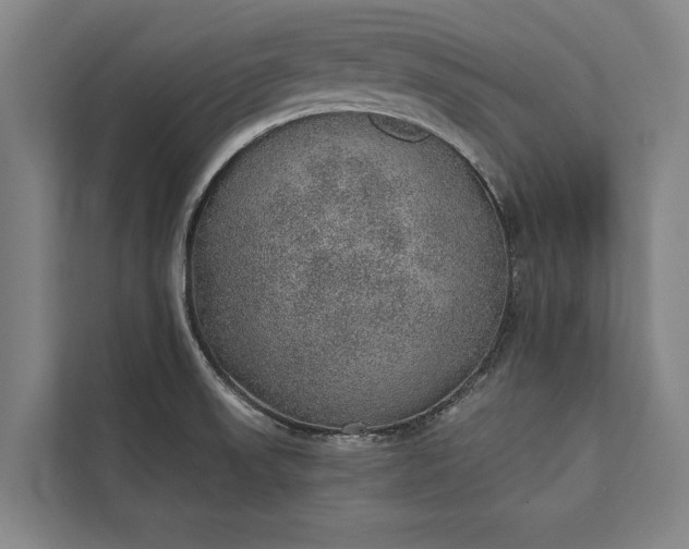 X0000112381523200908271308