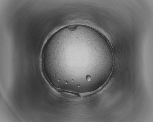 X0000112381525200908271309