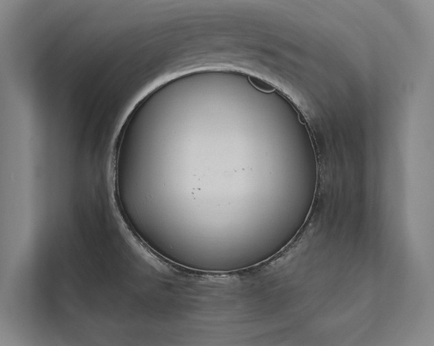 X0000112381526200908271309