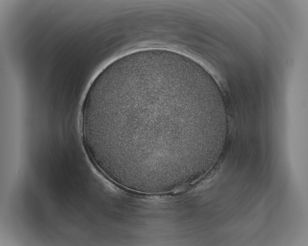 X0000112381527200908271309