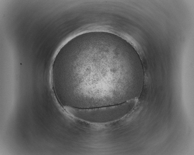 X0000112381528200908271309