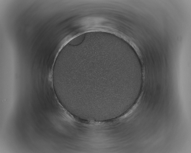 X0000112381529200908271309