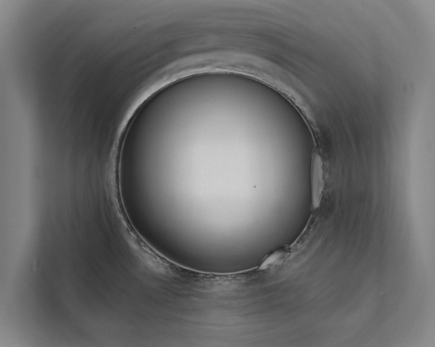 X0000112381530200908271309