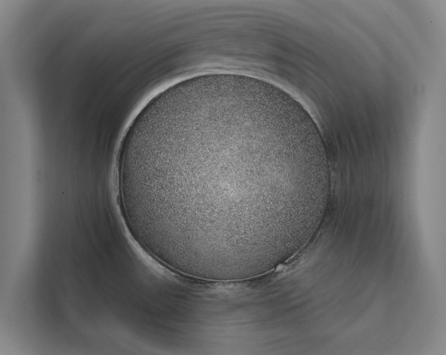 X0000112381531200908271309