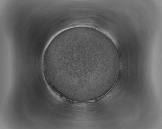 X0000112381532200908271309