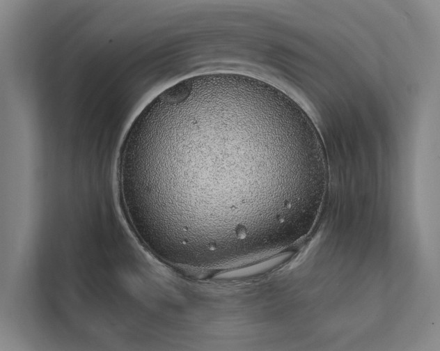 X0000112381533200908271309