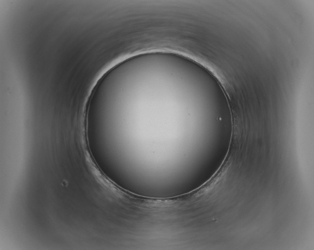 X0000112381534200908271309