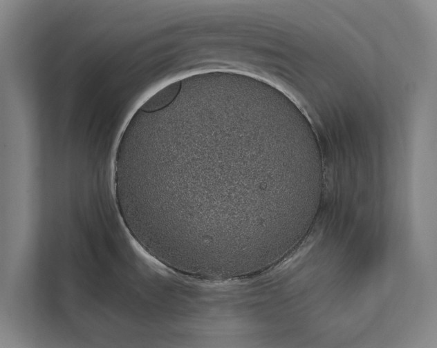 X0000112381535200908271309