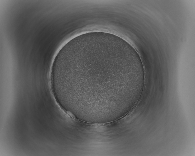 X0000112381536200908271309