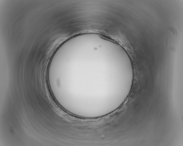 X0000112380001200909032002