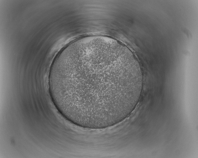 X0000112380002200909032002