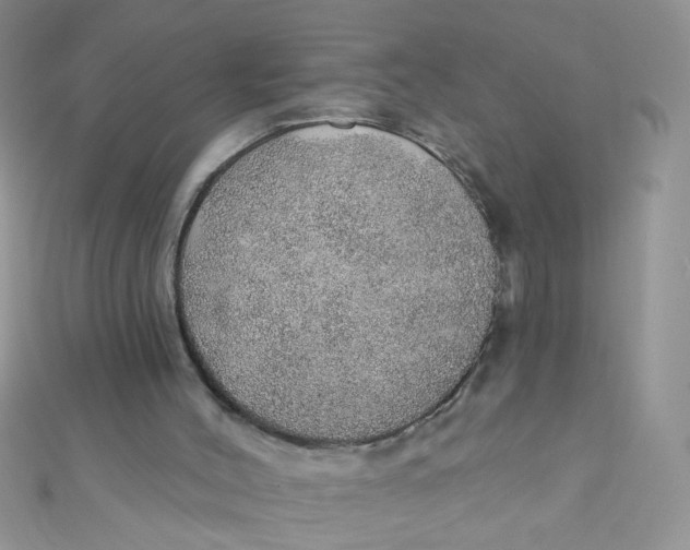 X0000112380004200909032002