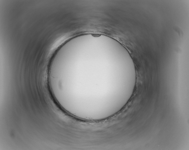 X0000112380005200909032002