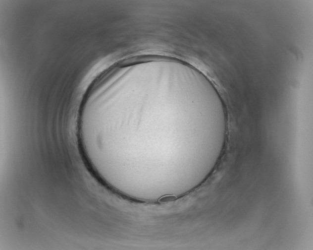 X0000112380007200909032002