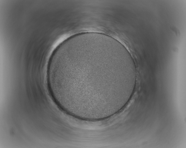 X0000112380008200909032002