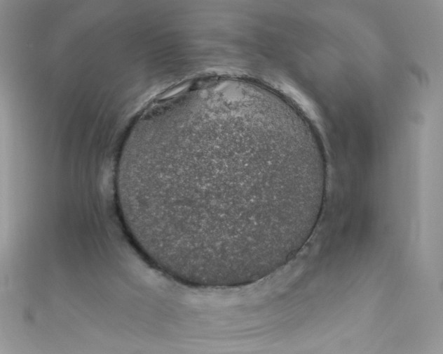 X0000112380009200909032002