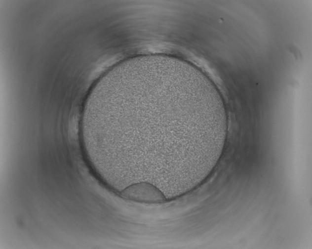 X0000112380010200909032002