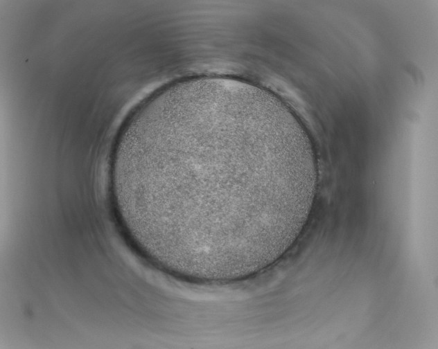 X0000112380012200909032002