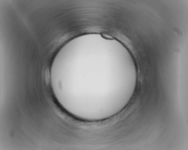 X0000112380013200909032002