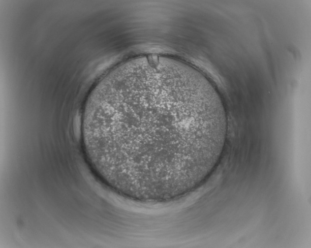 X0000112380014200909032002