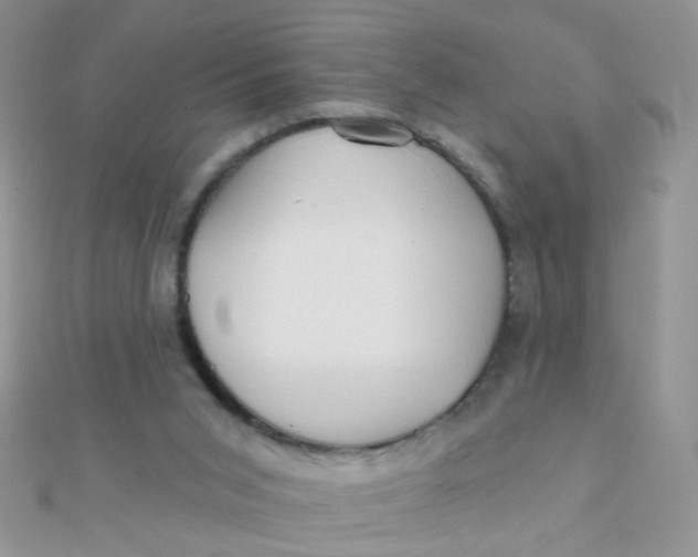 X0000112380015200909032002