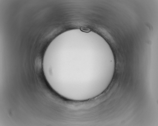 X0000112380021200909032002