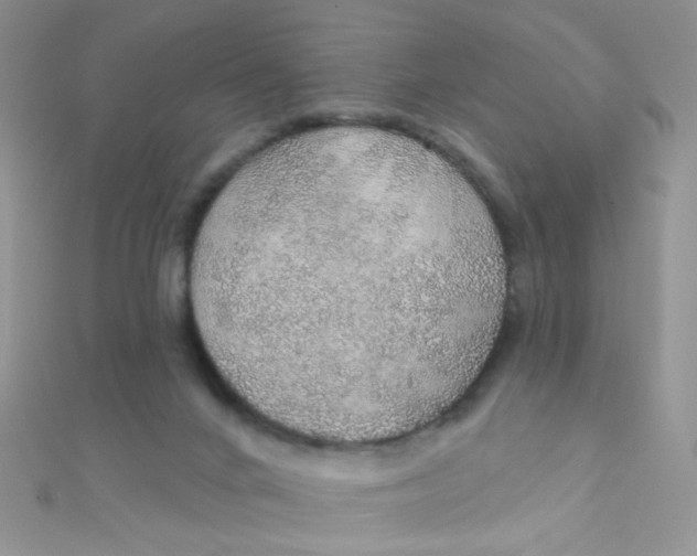 X0000112380024200909032002