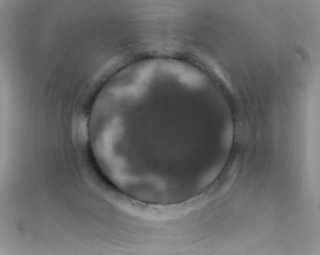 X0000112380027200909032002