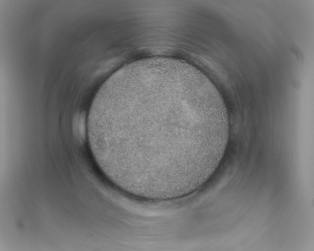 X0000112380028200909032002