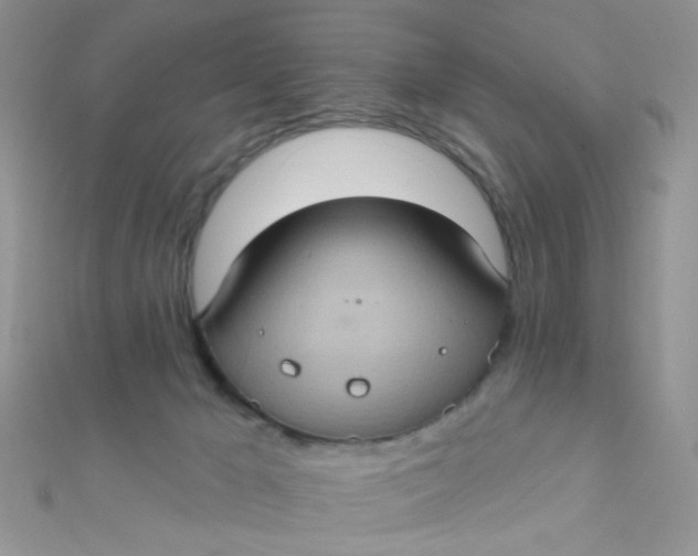 X0000112380029200909032002