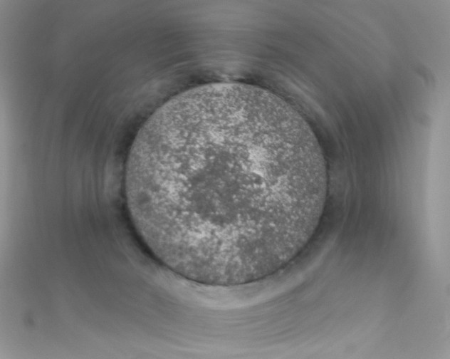 X0000112380030200909032002