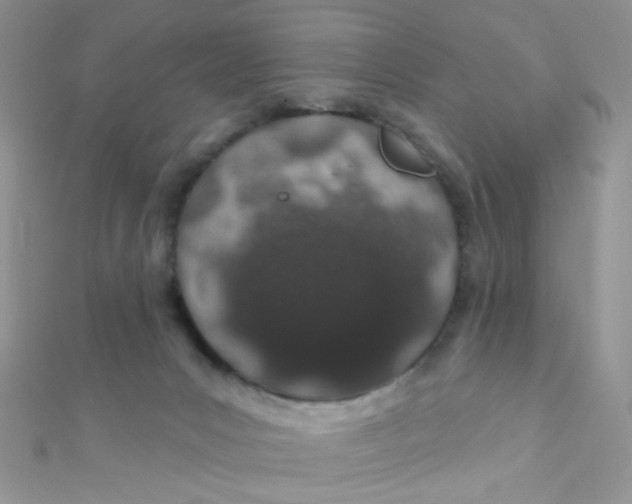 X0000112380031200909032002