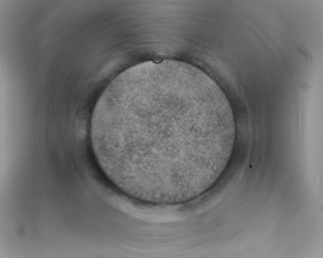 X0000112380032200909032002