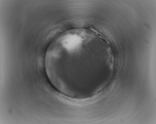 X0000112380035200909032002