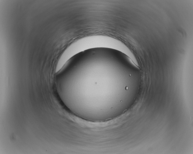 X0000112380039200909032002