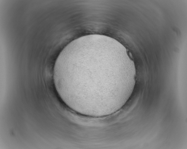 X0000112380040200909032002