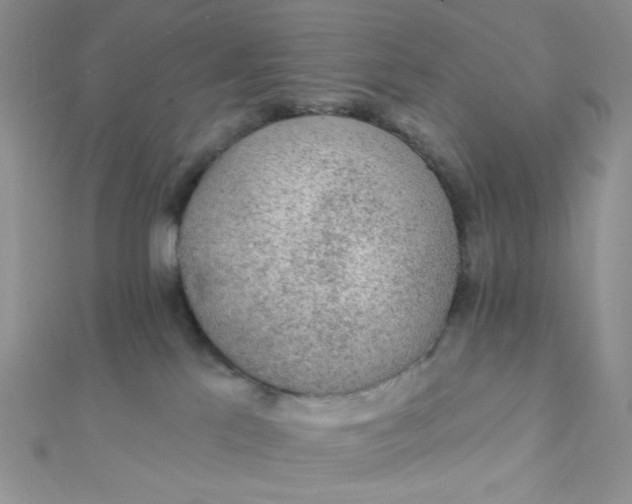 X0000112380041200909032002