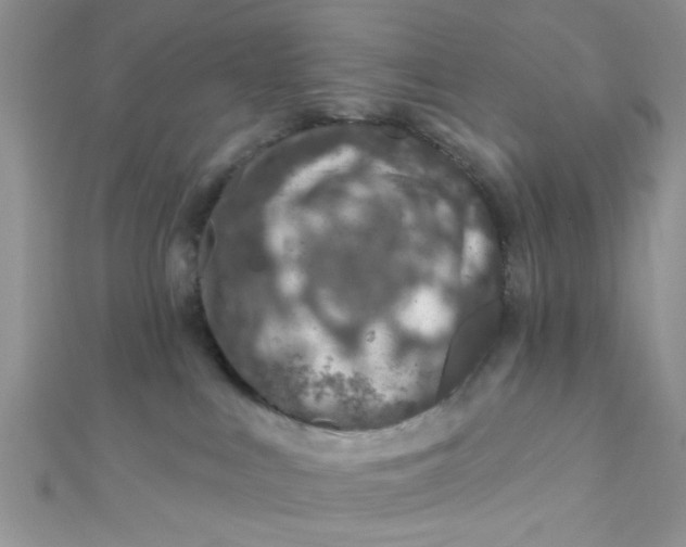 X0000112380043200909032002