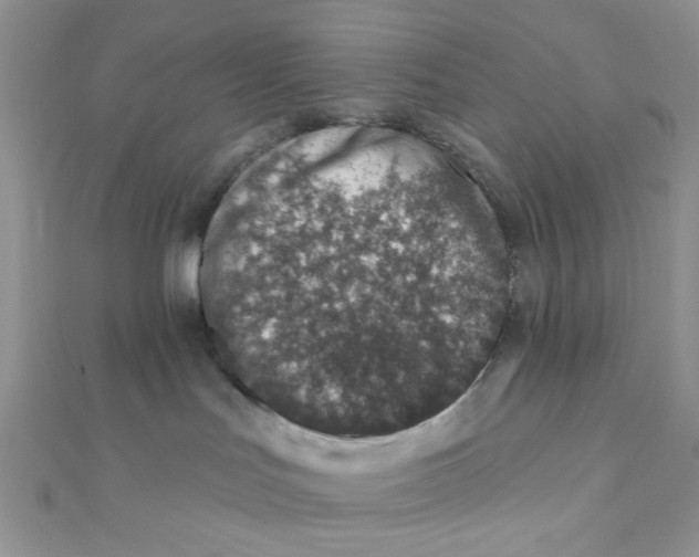 X0000112380047200909032002