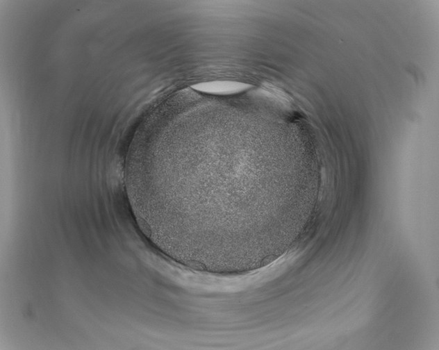 X0000112380048200909032002