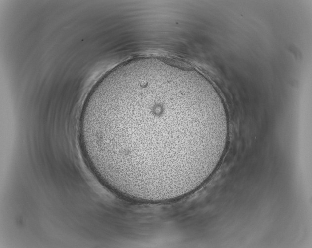 X0000112380049200909032001