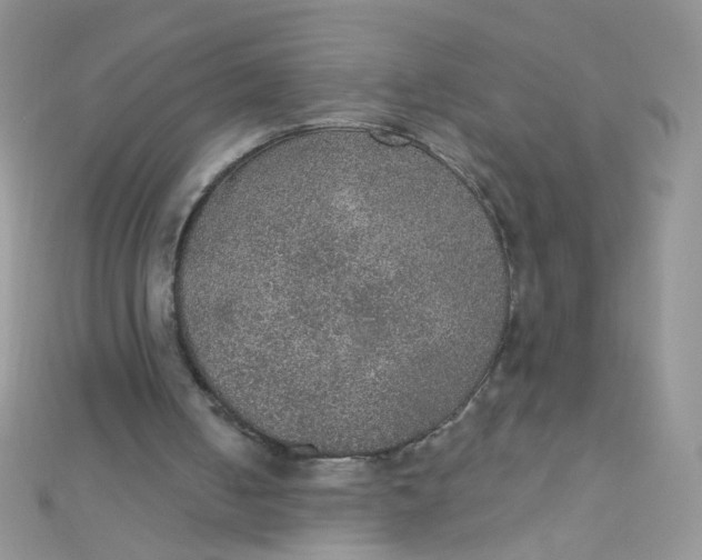 X0000112380050200909032001